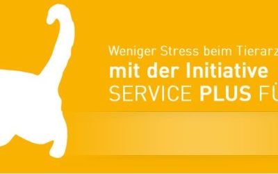 Service Plus für Katzen