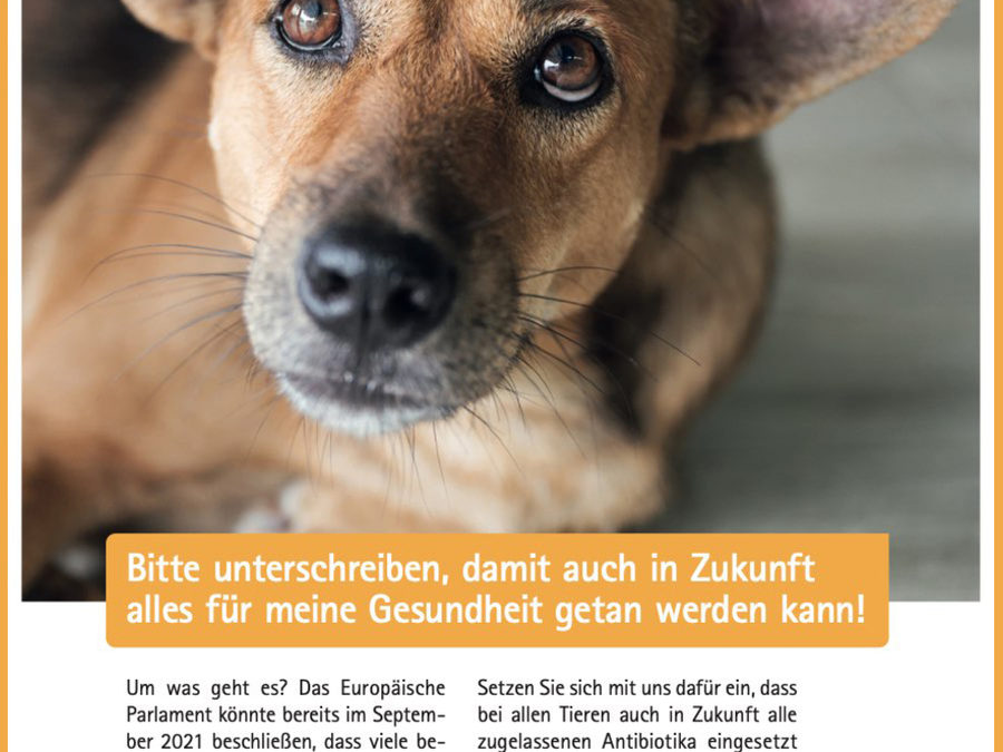 Unterschriftenkampagne gegen ein weitreichendes EU-Antibiotikaverbot!