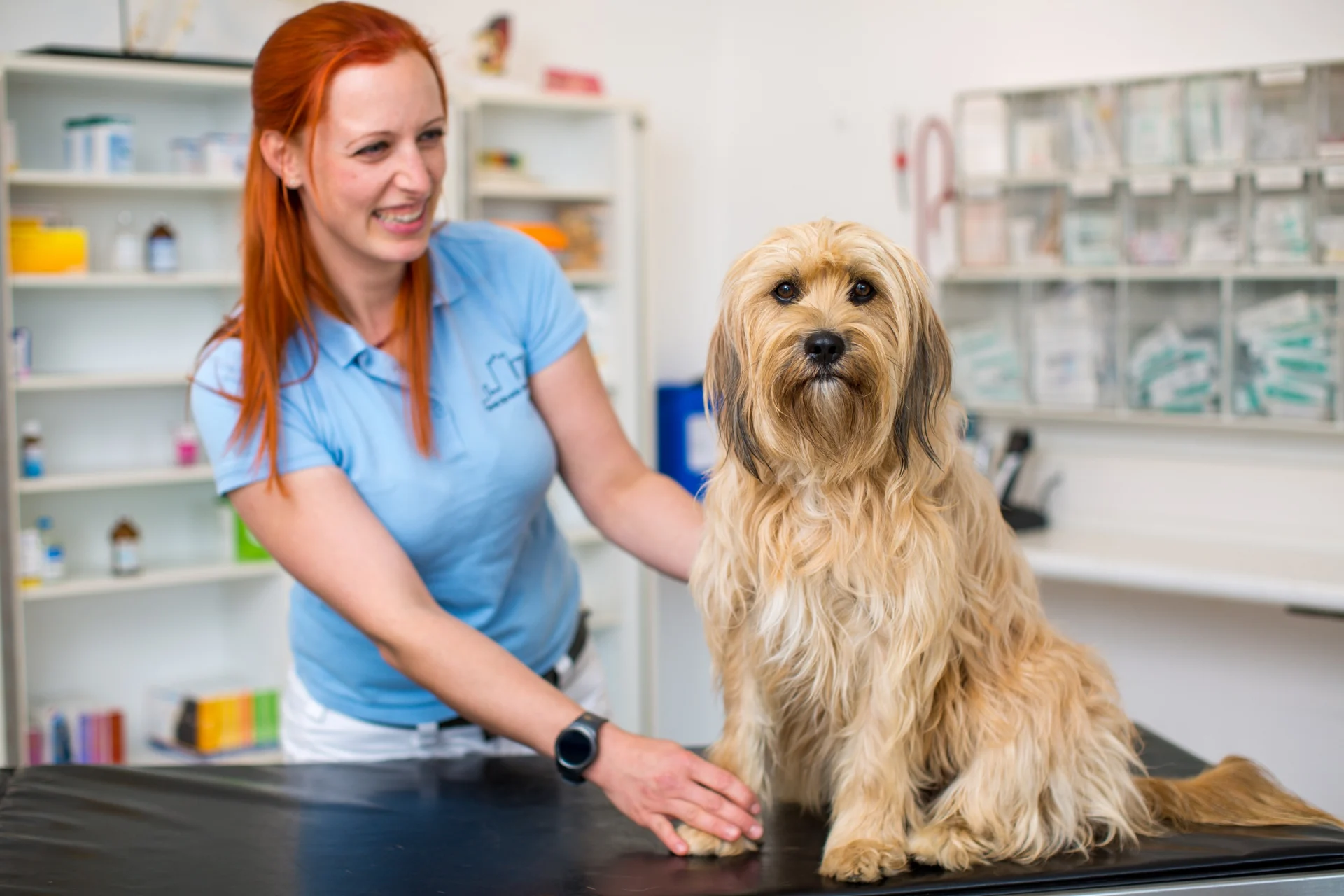 Tierärztin mit einem Hund auf dem Behandlungstisch