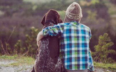 (Alb-) Traumberuf Tiermedizin – wenn der Job nicht am Hoftor endet