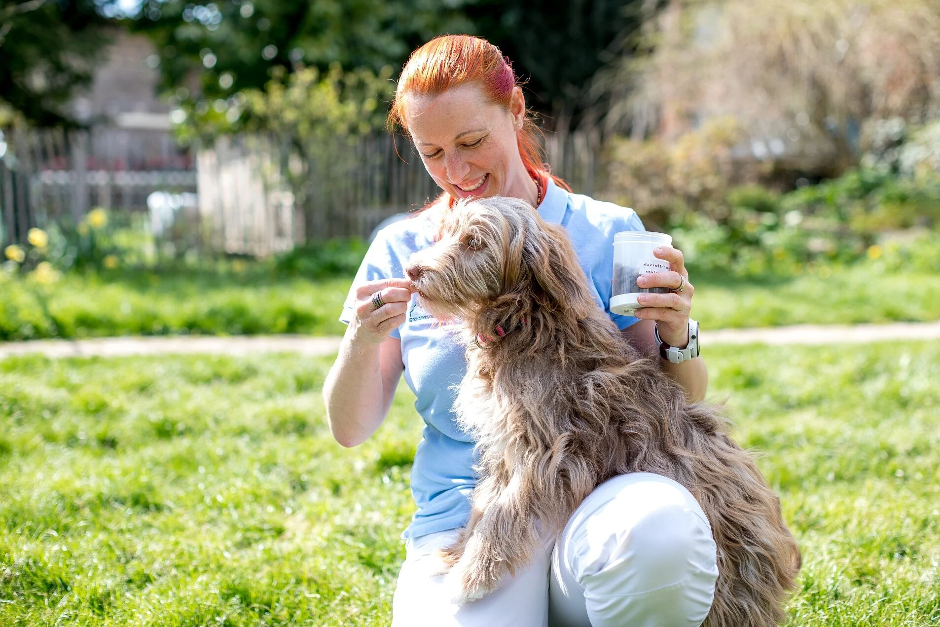 Tierärztin füttert einen Hund auf einer Wiese