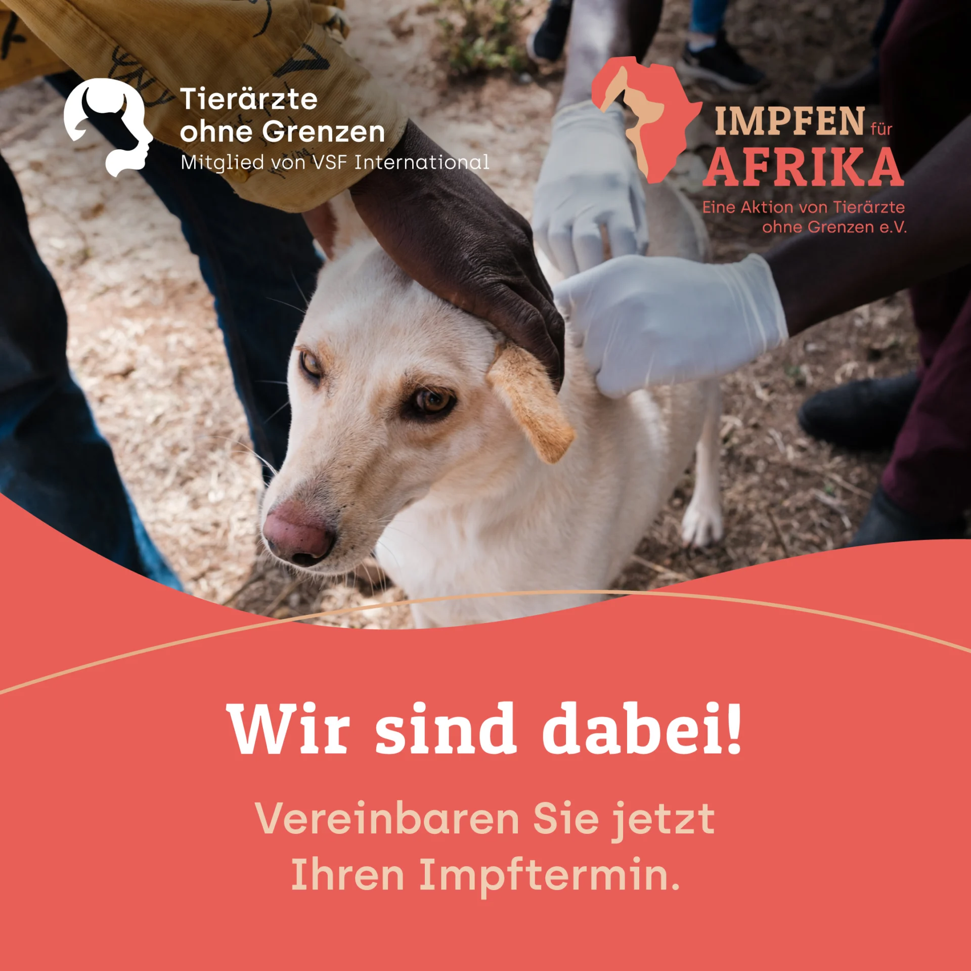 Banner zu Impfen für Afrika