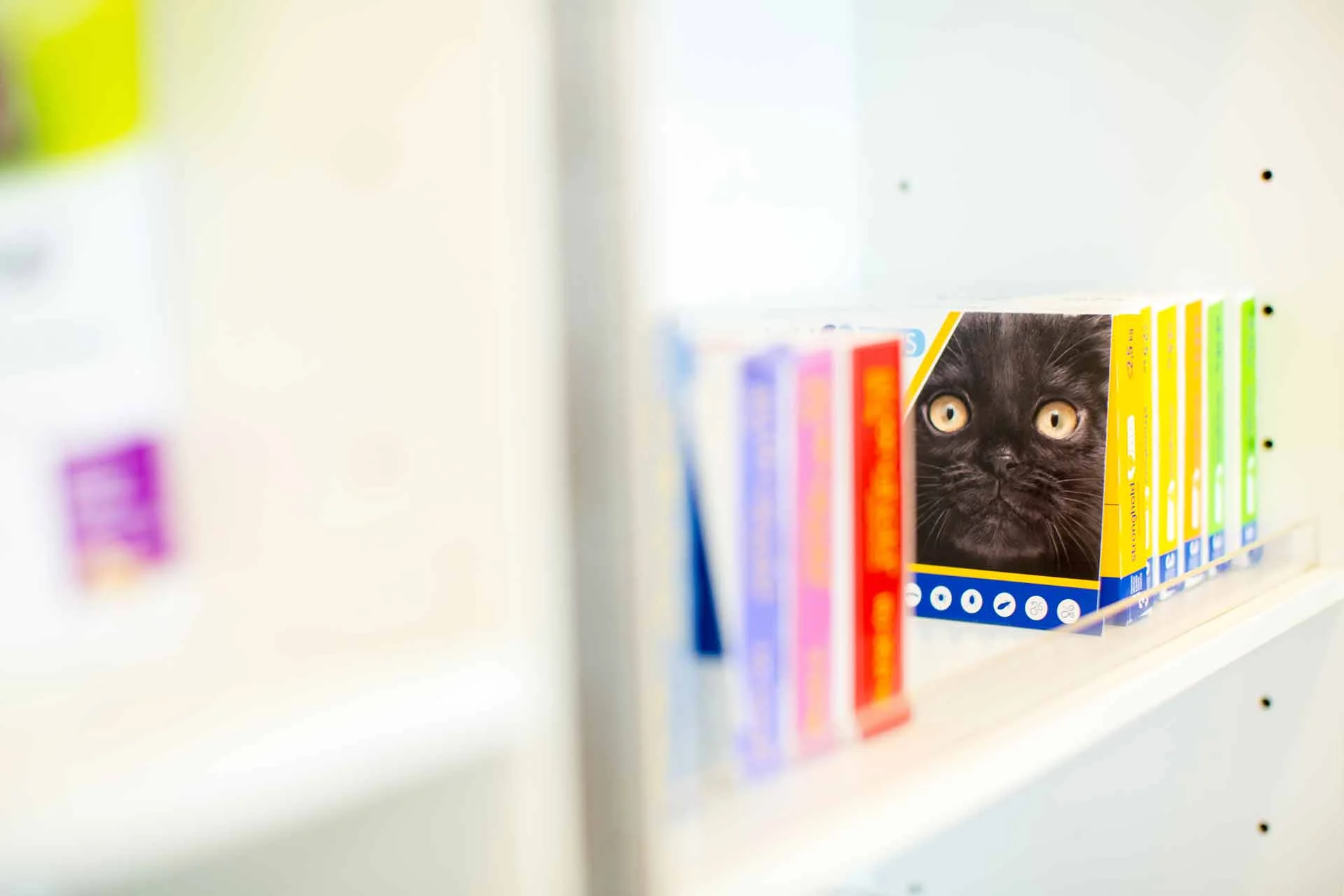 Bücherregal im Behandlungsraum. Auf einem Buch ist eine Katze zu sehen.