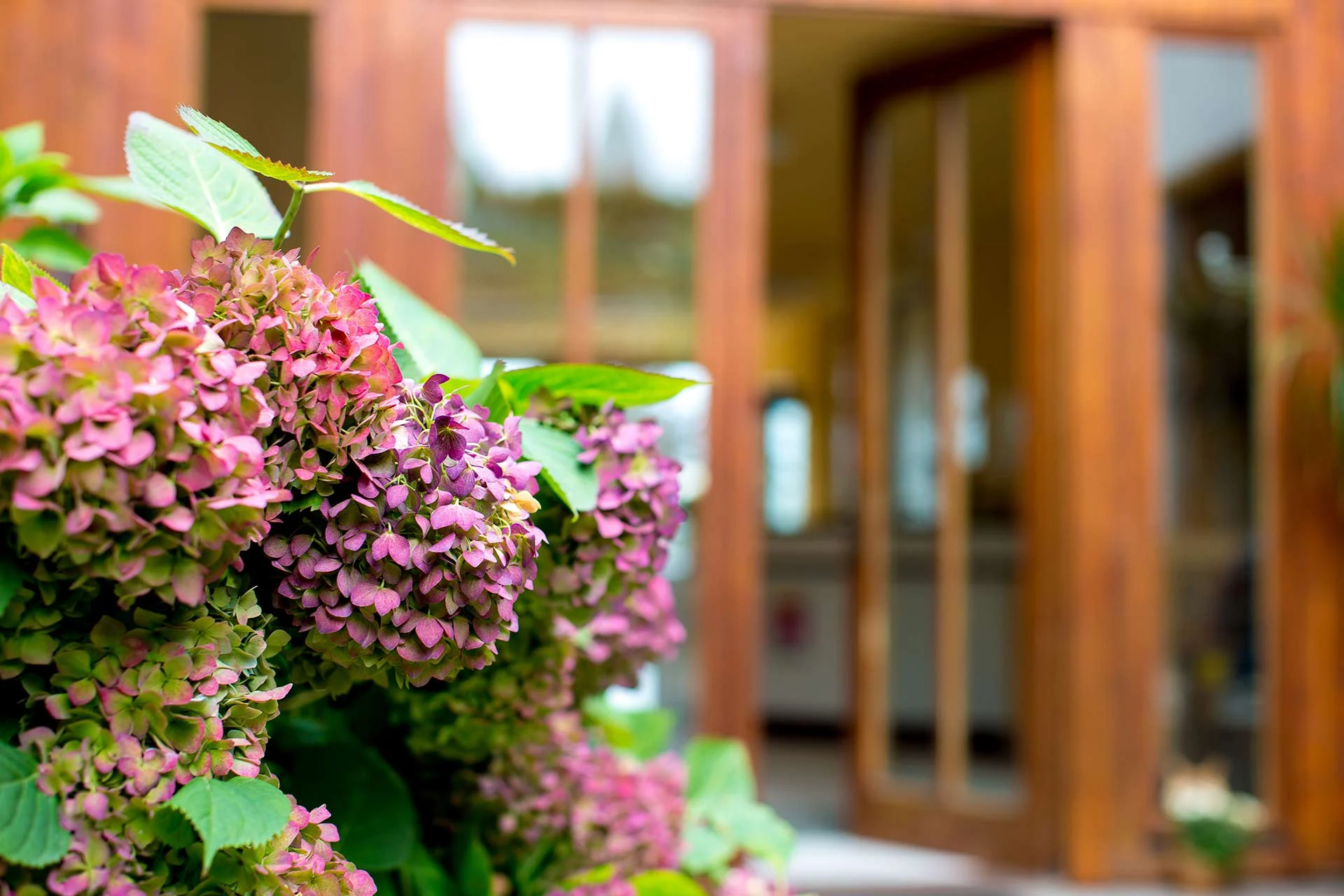 Eingang in die Tierarztpraxis Münzenberg mit schönen Blumen im Vordergrund