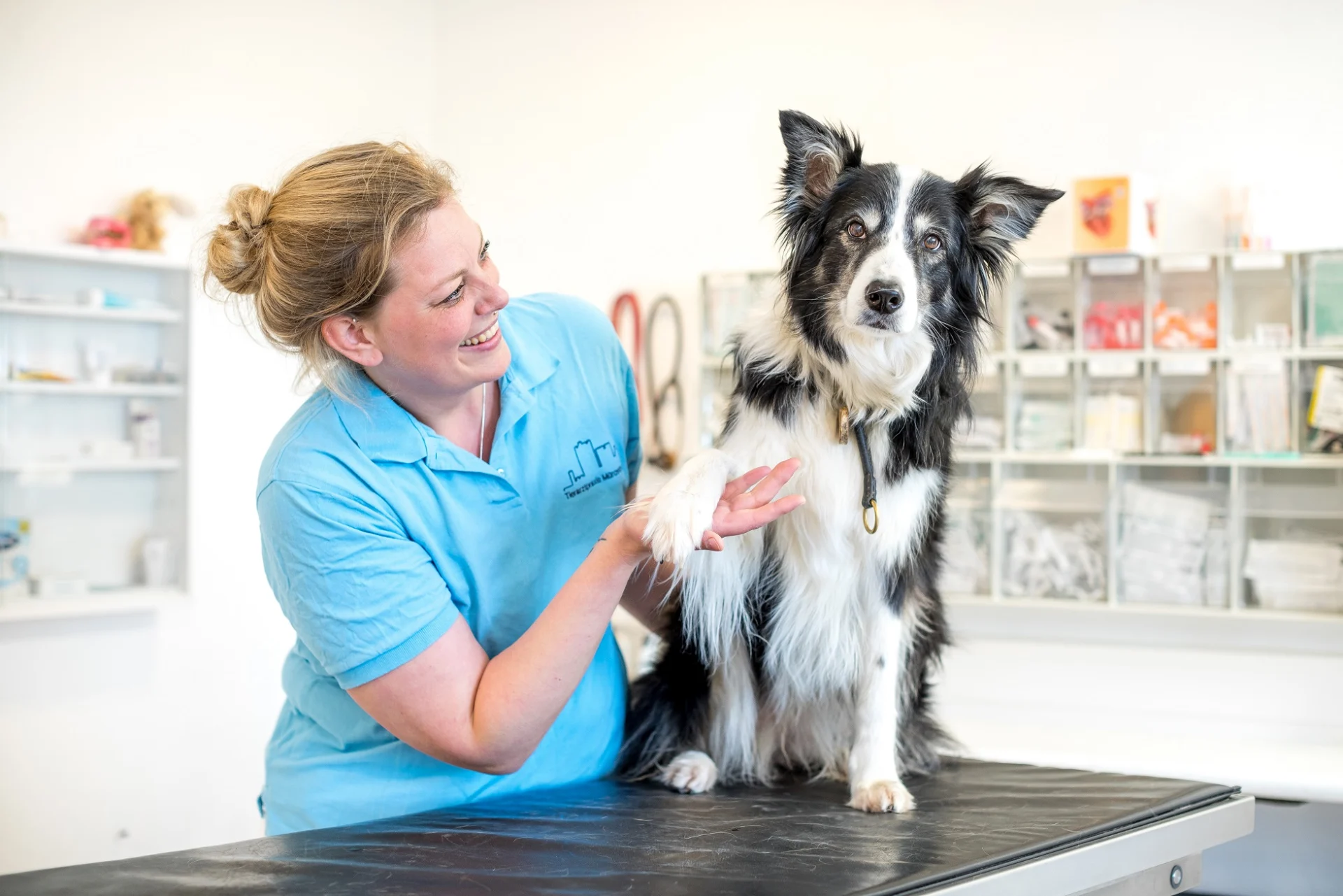 Tierärztin hält Pfote von Hund der auf dem Behandlungstisch